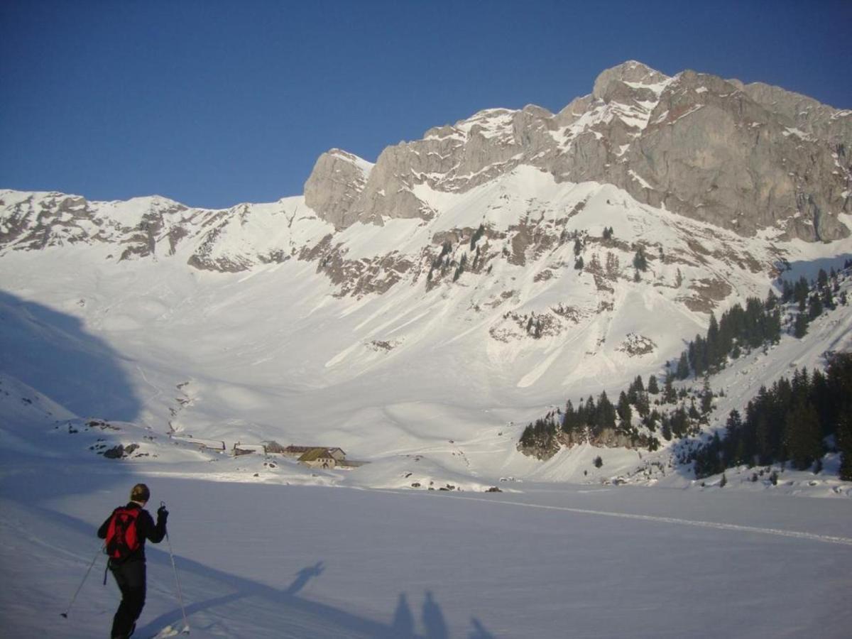 Le 67,Ski Et Randonnee,Lave Linge,Seche Linge,Parking Bernex Exterior photo