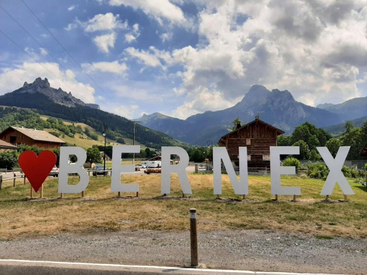 Le 67,Ski Et Randonnee,Lave Linge,Seche Linge,Parking Bernex Exterior photo