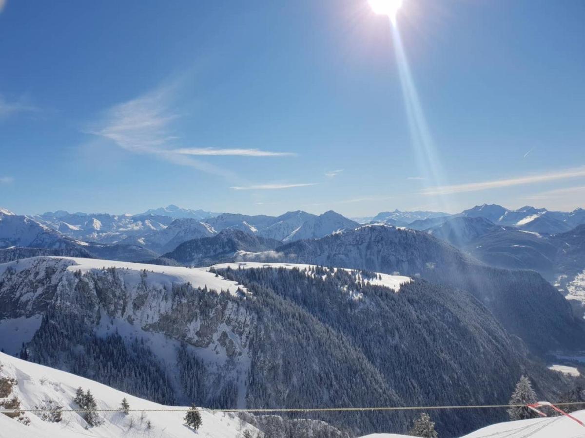 Le 67,Ski Et Randonnee,Lave Linge,Seche Linge,Parking Bernex Exterior photo