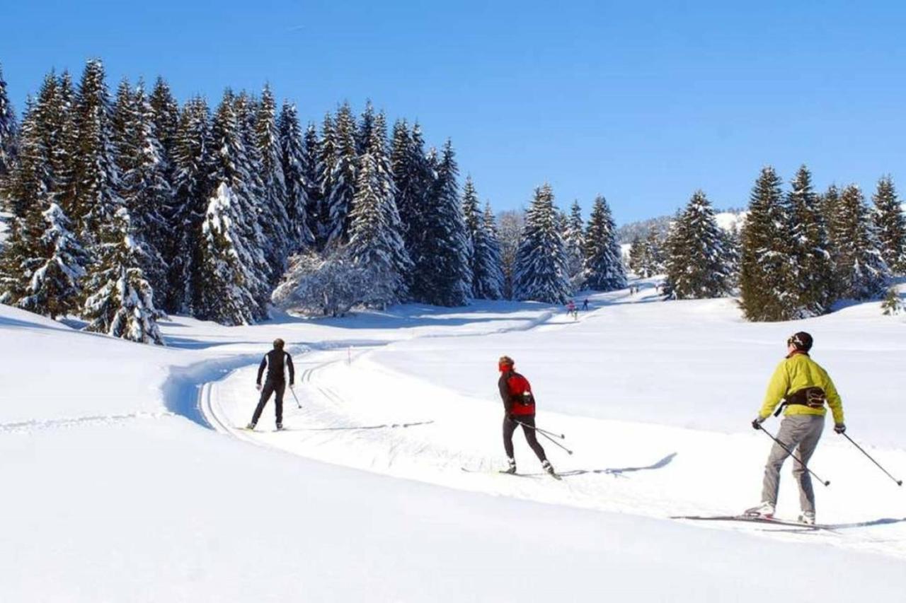 Le 67,Ski Et Randonnee,Lave Linge,Seche Linge,Parking Bernex Exterior photo
