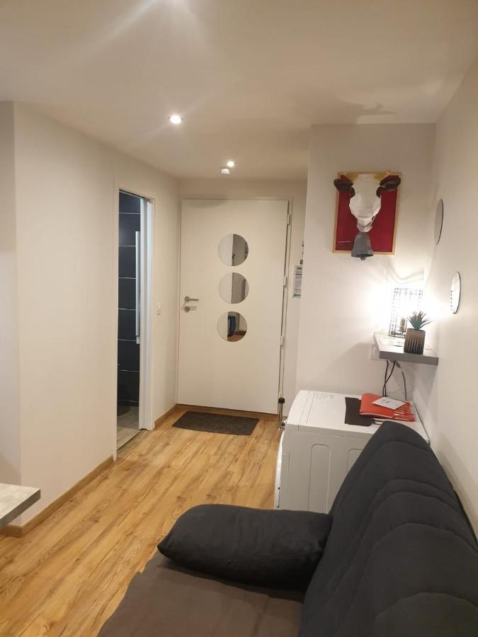 Le 67,Ski Et Randonnee,Lave Linge,Seche Linge,Parking Bernex Exterior photo